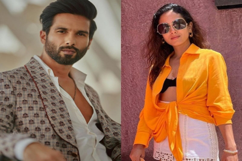 Shahid, wife Mira fight over 'speed of the fan every night'