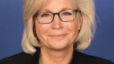 Liz Cheney loses Wyoming Republican primary to Trump-backed challenger