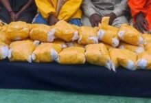 Assam Police seize drugs worth Rs 160 cr