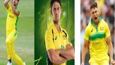 Starc, Marsh, Stoinis to miss upcoming T20Is against India due to injuries