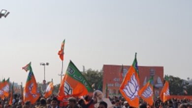BJP busy in building up organisation to expand its vote share