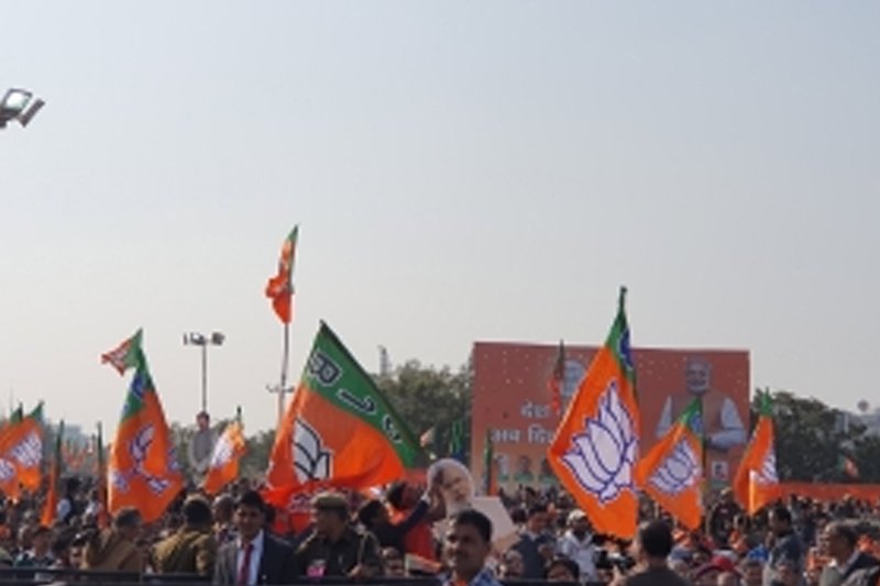 BJP busy in building up organisation to expand its vote share
