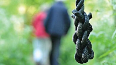 Teacher, student found hanging in UP forest