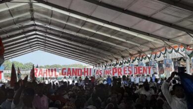 At Delhi rally, Cong workers demand Rahul as chief