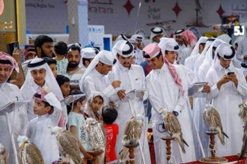 Falcon sold at Qatar auction for about Rs 1.95 cr