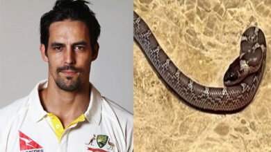 Ex-Aussie quick Mitchell Johnson finds snake in his hotel room in Lucknow