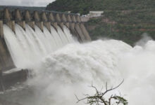Left canal of Nagarjuna Sagar breached; over 1000 acres crops submerged