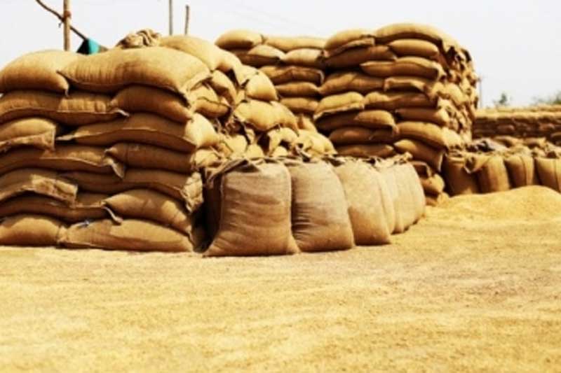 Tiruchi farmers lash out against TN govt over lack of procurement