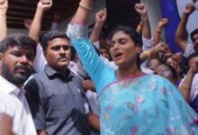 Conspiracy behind Y.S. Rajasekhar Reddy's death, am also a target, alleges daughter