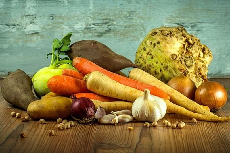 Women farmers in Himachal launch company for marketing chemical-free produce