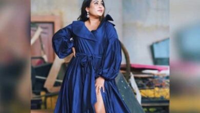 NIA questions Punjabi singer Afsana Khan in gangster-terror nexus case