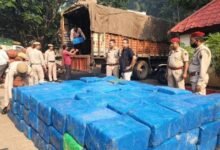 Assam: 2,500 kg ganja valued at Rs 15 crore seized
