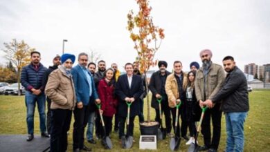 Canadian city pays tribute to Moosewala, plants a tree