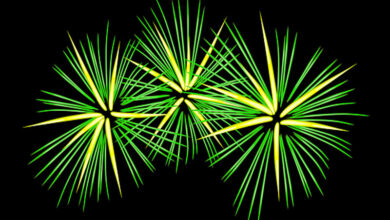 Haryana govt allows sale and use of only green firecrackers