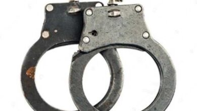 Terrorist who killed non-local labourers in J&K dies in firing
