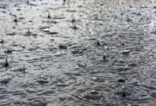 Heavy rain likely in Telangana in next 48 hours: Met