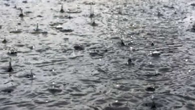 Cyclone impact: Hyderabad receives rains