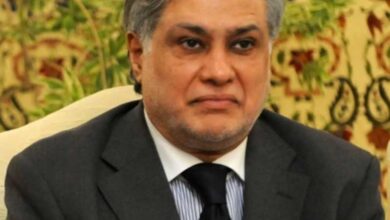 Man abuses Pakistan Finance Minister Ishaq Dar at Washington airport