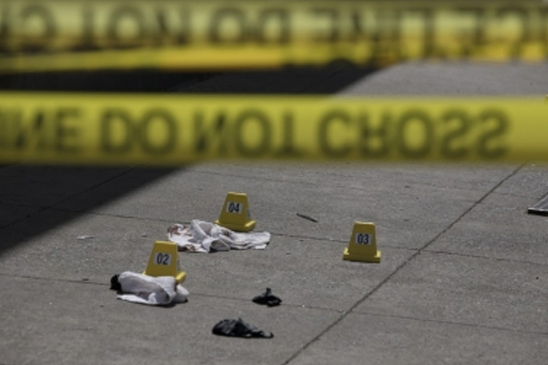 Indian-American student killed in US, roommate arrested