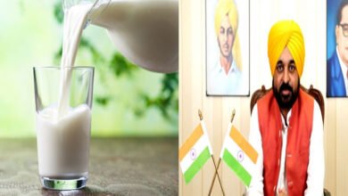 Punjab to supply more milk to Delhi, says CM Mann