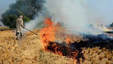 Farmers involved in stubble burning to be fined Rs 2500/acre in Gurugram