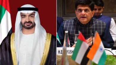 UAE-India joint investment task force reviews key areas of cooperation