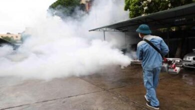 Vietnam reports 260,000 dengue cases, 102 deaths this yr