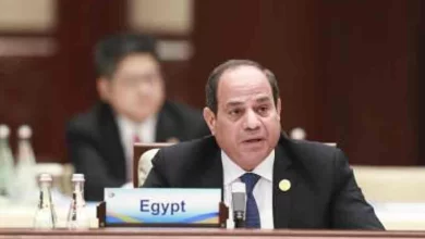 Biden, Egypt's Sisi discuss regional, int'l issues