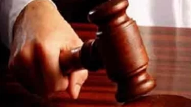YSRTP leader Sharmila gets bail hours after dramatic arrest