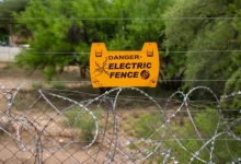 Man along with his 5 dogs electrocuted in TN