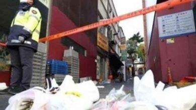 Death toll in Seoul halloween stampede reaches 156