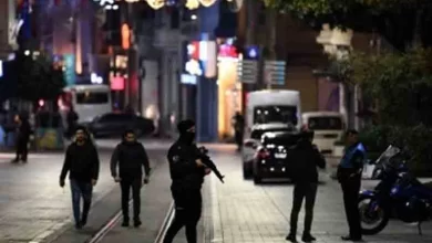 Istanbul blast perpetrator arrested: Minister