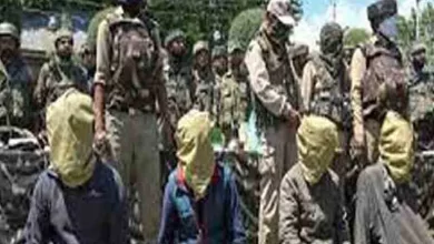 13 Maoists surrender in Assam