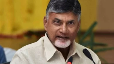 TDP filled light in lives of Telugus: Chandababu Naidu