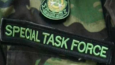 STF arrests four for selling fake sex stimulants in UP