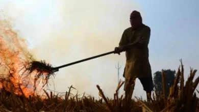 Some matters courts can look into, some it can't: SC on plea to ban stubble burning