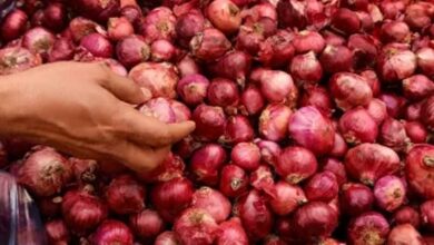 'Student' held for looting onions in UP