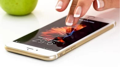 IT ministry working with industry to implement mobile security guidelines: ICEA