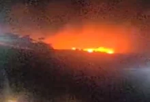 Major fire breaks out in Mumbai forest area