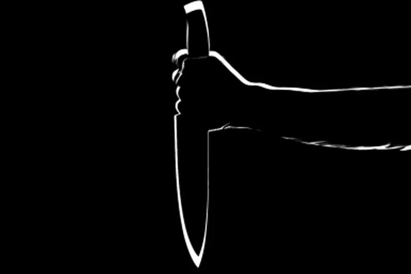 Indian-American man allegedly stabs minor son to death