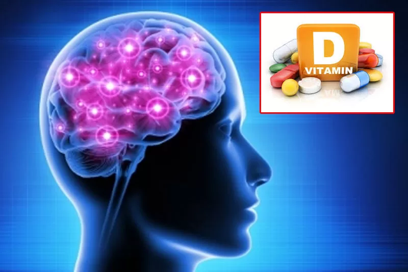 Brains with more vitamin D have better cognitive functions, finds study