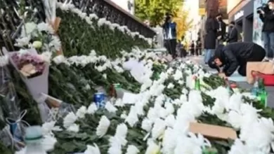 Survivor of Seoul crowd crush found dead in apparent suicide
