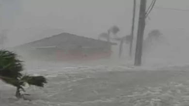 Cyclone Mandous kills 3, affects over 21,000 in Sri Lanka Colombo, Dec 12 (IANS) Sri Lanka's Disaster Management Centre (DMC) said on Monday that three people were killed and over 21,000 have been affected by the adverse weather conditions caused by cyclone Mandous. The DMC said 19 people were injured and those affected belong to 6,113 families in 16 districts, adding that 5,639 houses in various parts of the island country have been damaged, Xinhua news agency reported. DMC Deputy Director Pradeep Kodippili told media that they have already started assessing the damage and those affected will be compensated. The DMC said the effects of Mandous have reduced greatly but still requested Sri Lankans to take precautions.