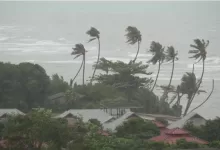 Cyclone Mandous: Holiday for schools, colleges in 8 TN districts