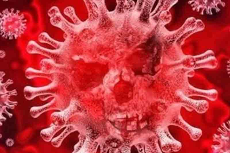 Deadly Covid variants still transmissible between species, finds study
