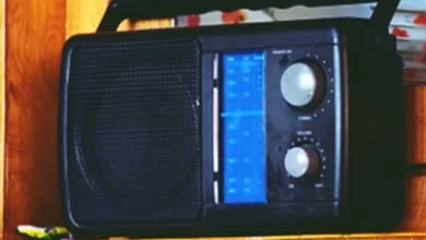 Centre directs FM radio channels not to play songs glorifying drugs