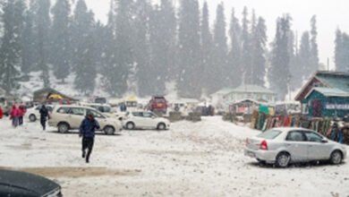Fresh snowfall ends month-long dry spell bringing cheer to tourists, locals in Kashmir