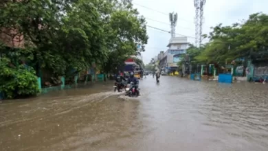 Heavy rain forecast for Andhra due to cyclone in Bay of Bengal