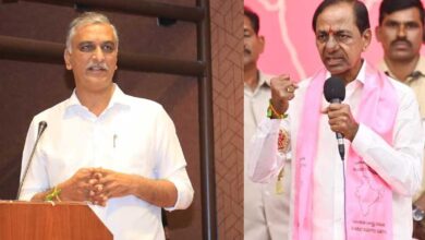 Govt to launch KCR nutrition kits for  pregnant women soon: Harish Rao