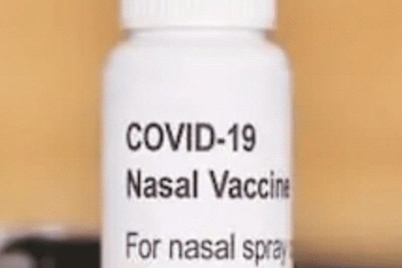 Bharat Biotech's intranasal Covid vaccine priced at Rs 800